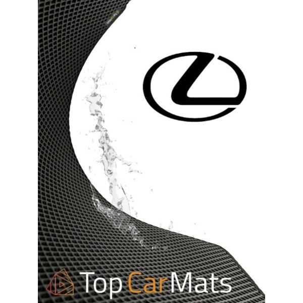 Lexus Car Mats